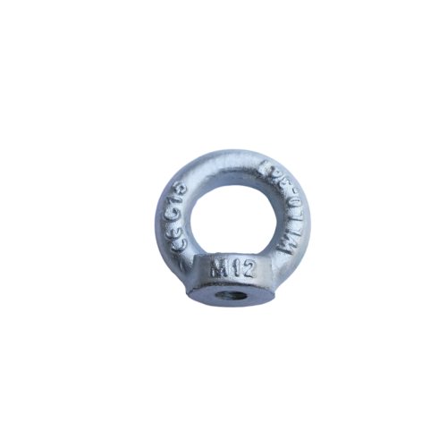 DIN582 EYE NUT
